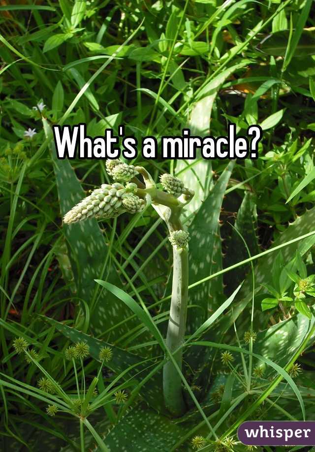 What's a miracle?