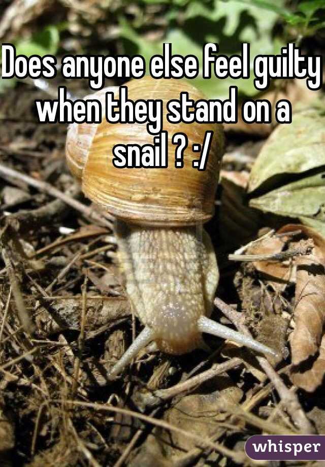 Does anyone else feel guilty when they stand on a snail ? :/