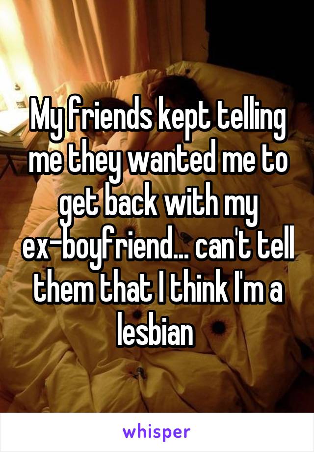 My friends kept telling me they wanted me to get back with my ex-boyfriend... can't tell them that I think I'm a lesbian 