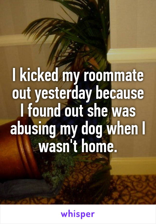 I kicked my roommate out yesterday because I found out she was abusing my dog when I wasn't home.