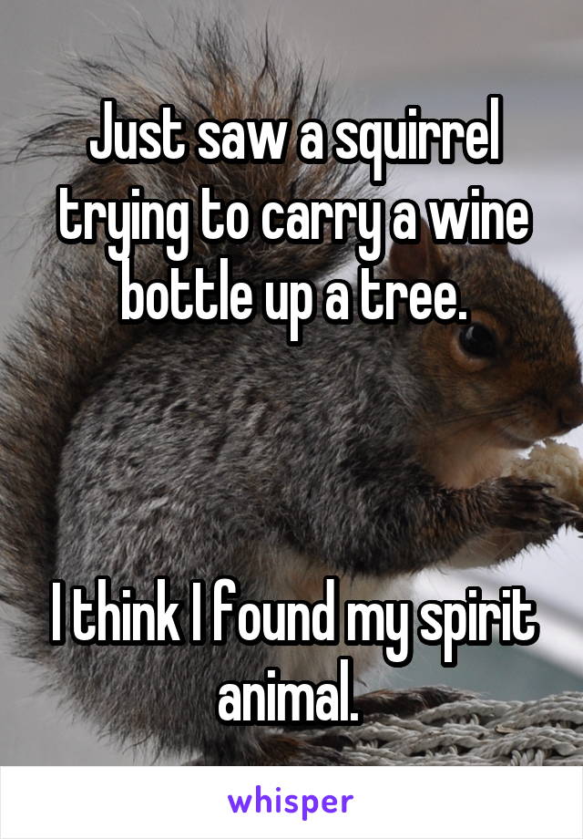Just saw a squirrel trying to carry a wine bottle up a tree.



I think I found my spirit animal. 