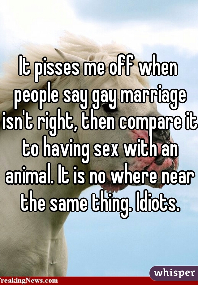 It pisses me off when people say gay marriage isn't right, then compare it to having sex with an animal. It is no where near the same thing. Idiots.

