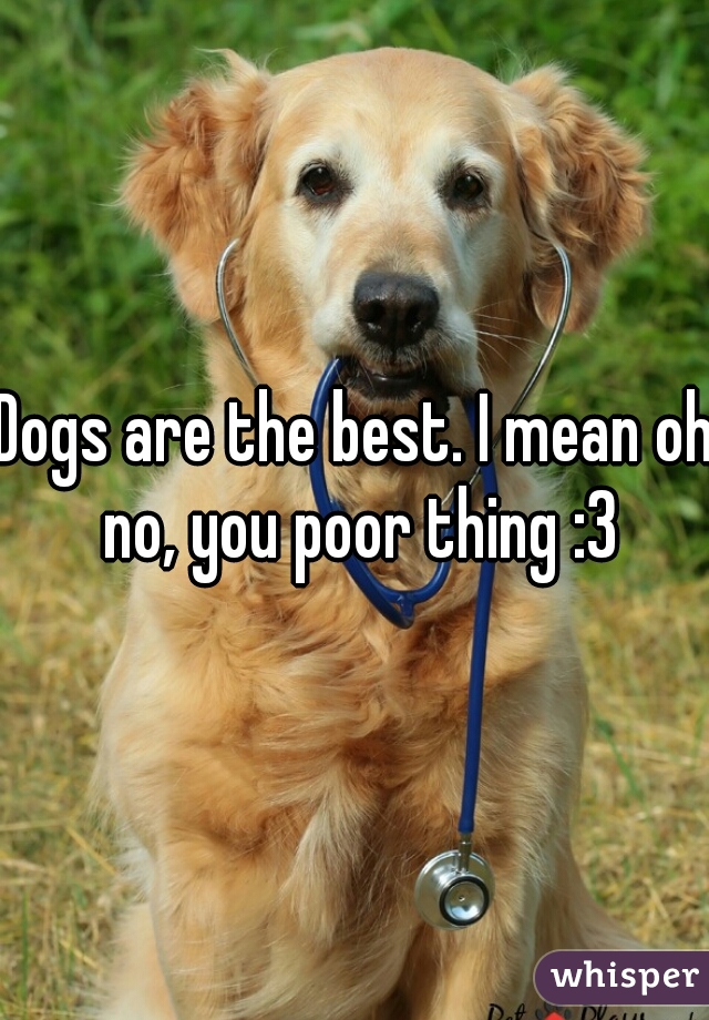 Dogs are the best. I mean oh no, you poor thing :3