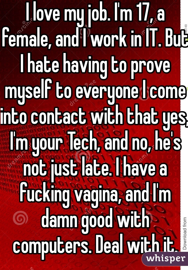 I love my job. I'm 17, a female, and I work in IT. But I hate having to prove myself to everyone I come into contact with that yes, I'm your Tech, and no, he's not just late. I have a fucking vagina, and I'm damn good with computers. Deal with it. 