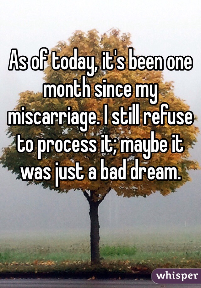 As of today, it's been one month since my miscarriage. I still refuse to process it; maybe it was just a bad dream.
