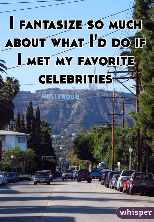 I fantasize so much about what I'd do if I met my favorite celebrities 