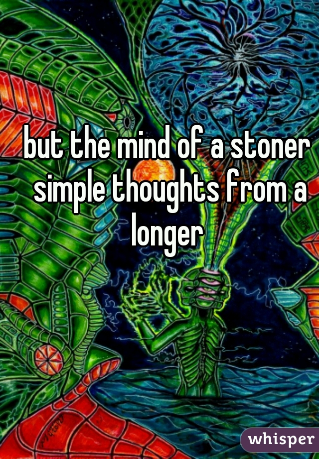 but the mind of a stoner simple thoughts from a longer 