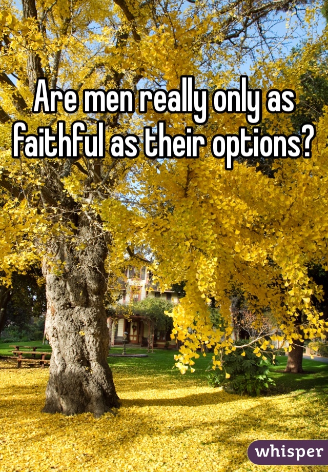 Are men really only as faithful as their options?