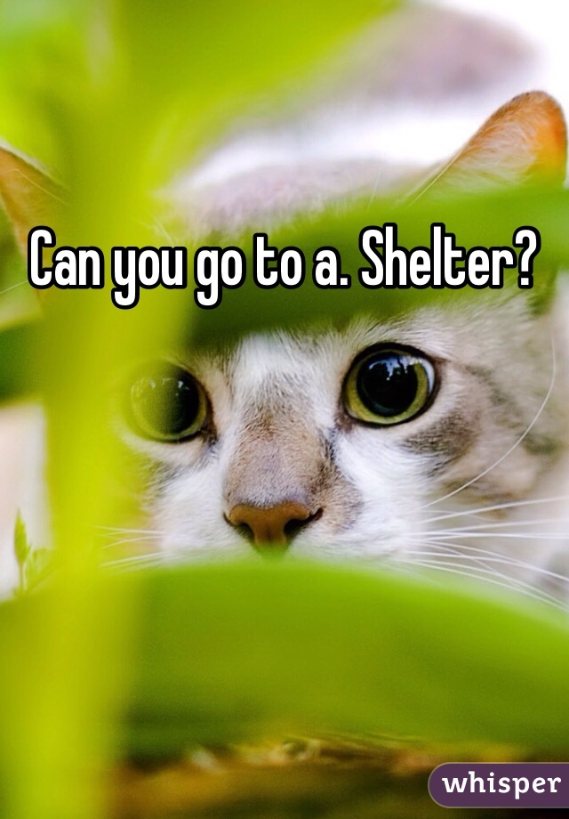 Can you go to a. Shelter?