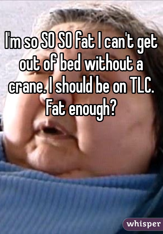 I'm so SO SO fat I can't get out of bed without a crane. I should be on TLC. Fat enough?