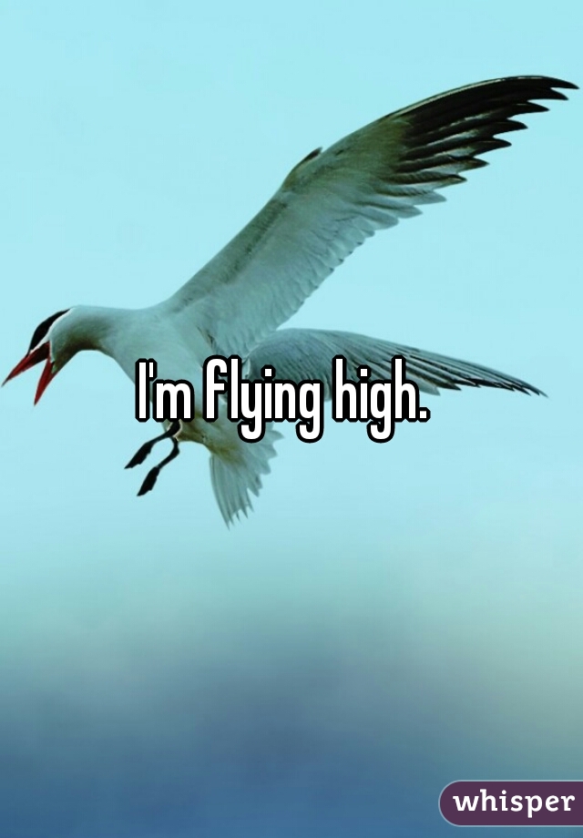 I'm flying high. 