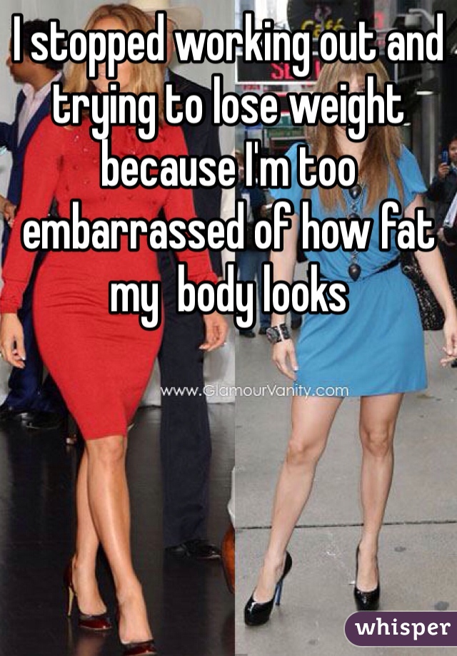 I stopped working out and trying to lose weight because I'm too embarrassed of how fat my  body looks 