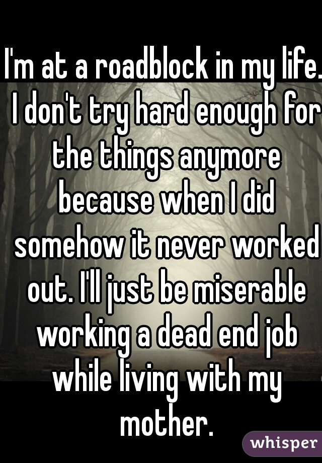 I'm at a roadblock in my life. I don't try hard enough for the things anymore because when I did somehow it never worked out. I'll just be miserable working a dead end job while living with my mother.