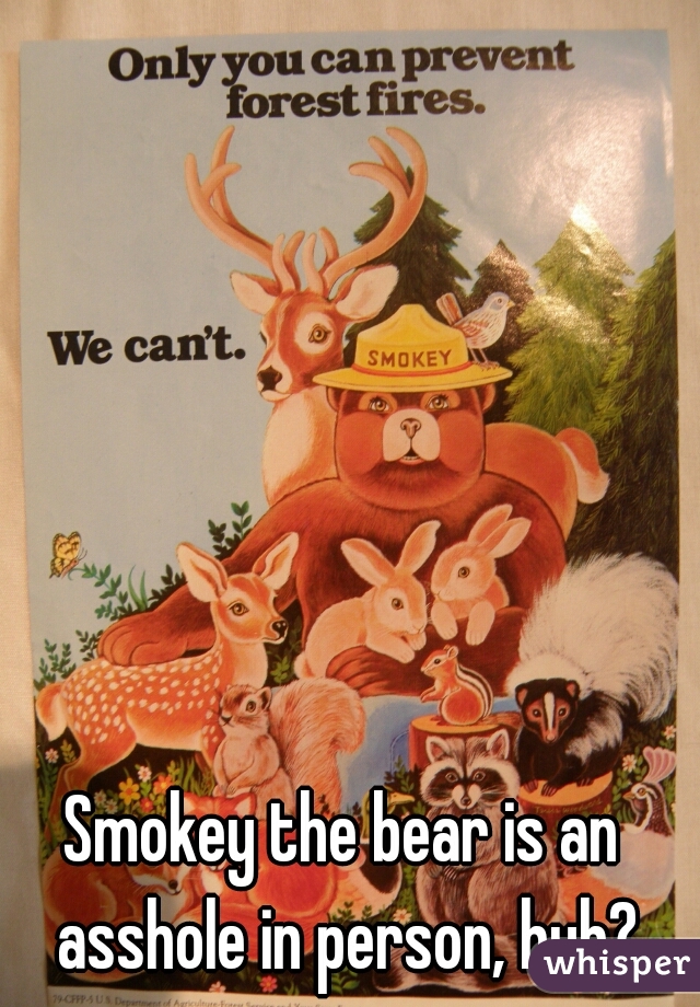 Smokey the bear is an asshole in person, huh?