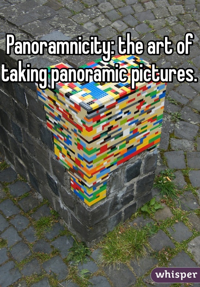 Panoramnicity: the art of taking panoramic pictures. 