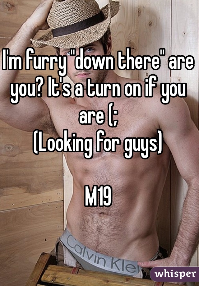 I'm furry "down there" are you? It's a turn on if you are (;
(Looking for guys)

M19