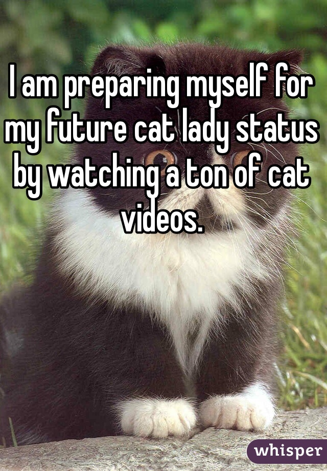 I am preparing myself for my future cat lady status by watching a ton of cat videos.
