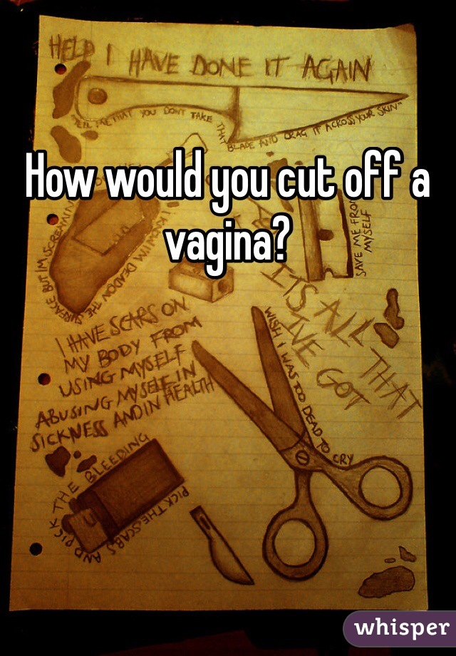 How would you cut off a vagina?