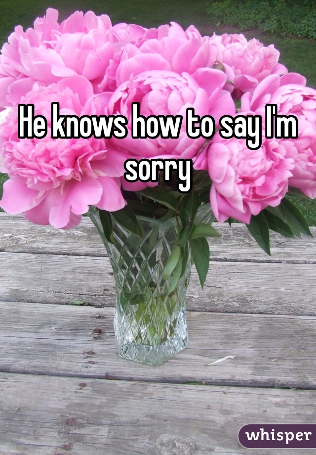 He knows how to say I'm sorry 