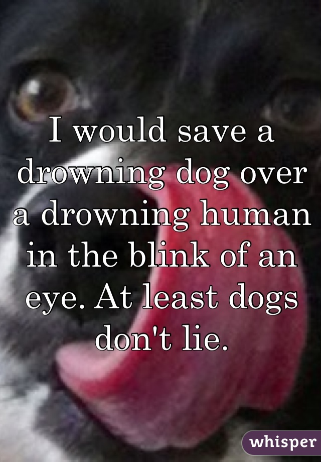 I would save a drowning dog over a drowning human in the blink of an eye. At least dogs don't lie.