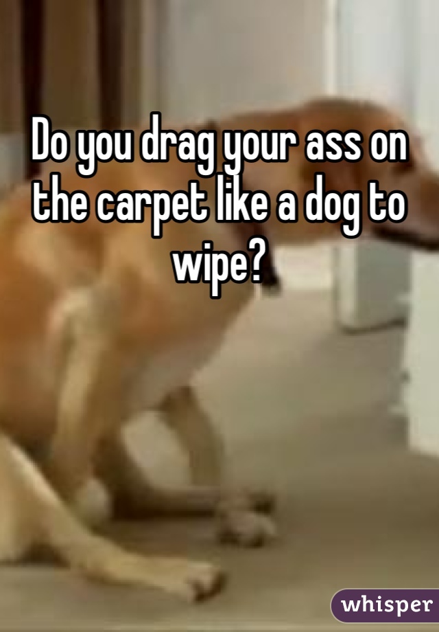 Do you drag your ass on the carpet like a dog to wipe?