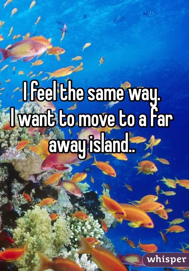 I feel the same way.
I want to move to a far away island..