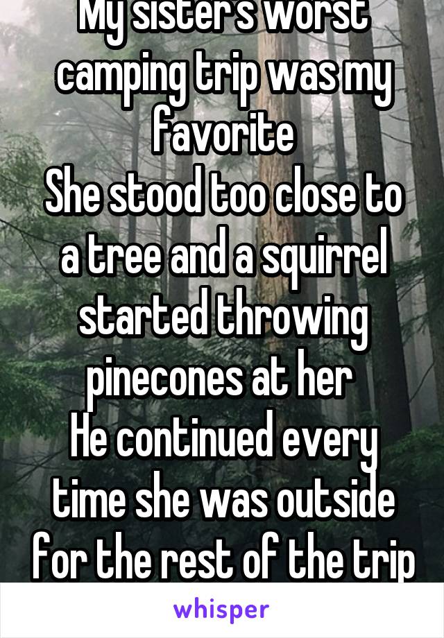 My sister's worst camping trip was my favorite
She stood too close to a tree and a squirrel started throwing pinecones at her 
He continued every time she was outside for the rest of the trip xD