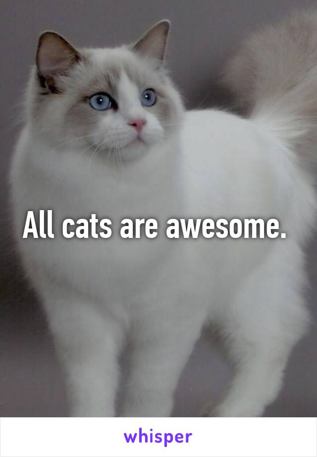 All cats are awesome. 