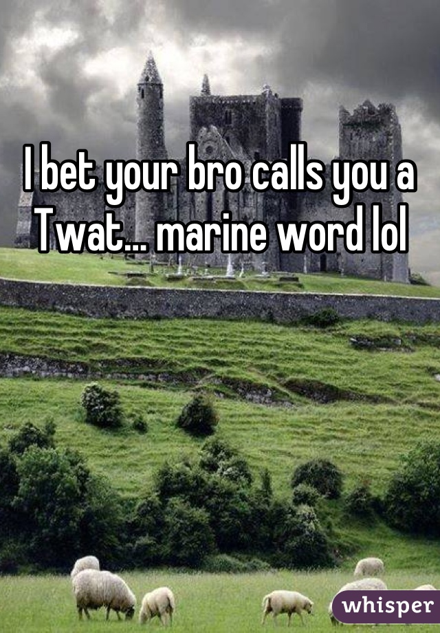 I bet your bro calls you a Twat… marine word lol