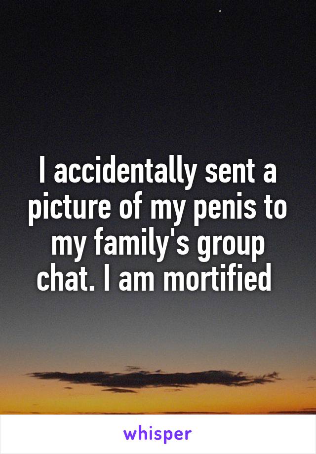 I accidentally sent a picture of my penis to my family's group chat. I am mortified 