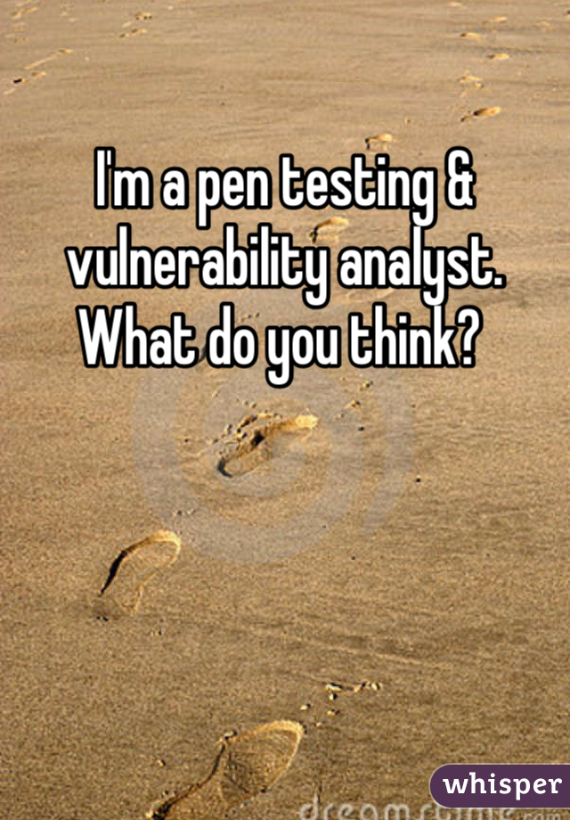 I'm a pen testing & vulnerability analyst. What do you think? 