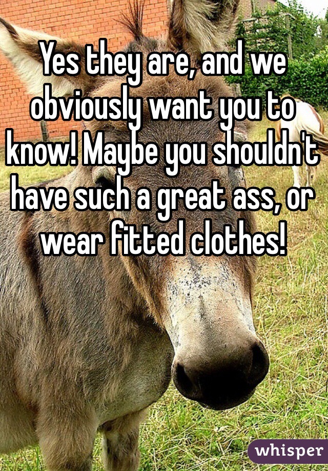 Yes they are, and we obviously want you to know! Maybe you shouldn't have such a great ass, or wear fitted clothes! 