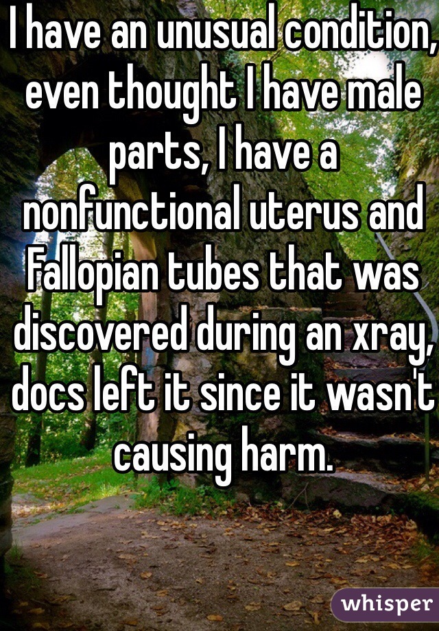I have an unusual condition, even thought I have male parts, I have a nonfunctional uterus and Fallopian tubes that was discovered during an xray, docs left it since it wasn't causing harm. 