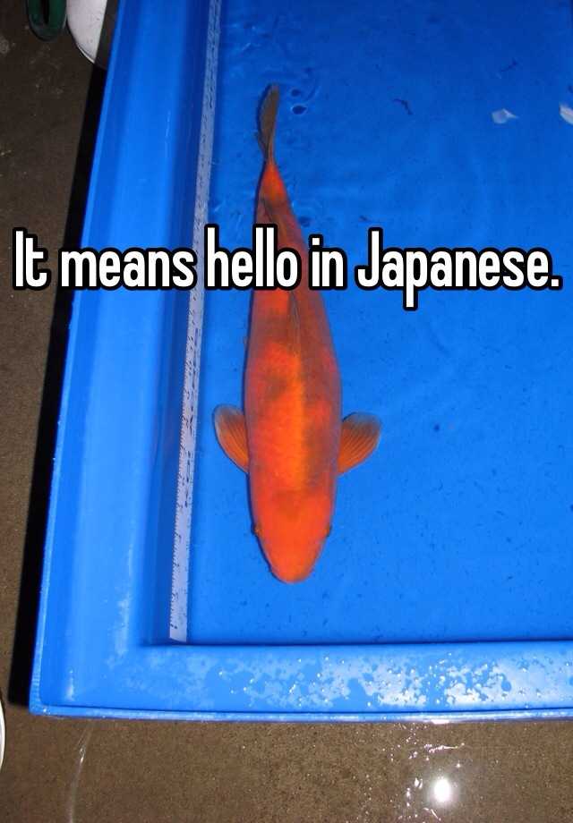 it-means-hello-in-japanese