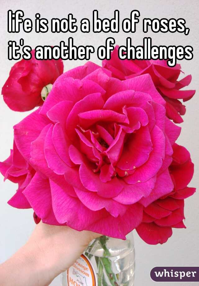 life is not a bed of roses, it's another of challenges
