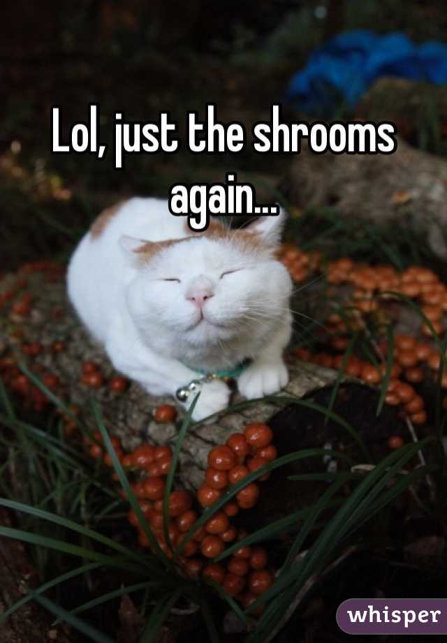 Lol, just the shrooms again...