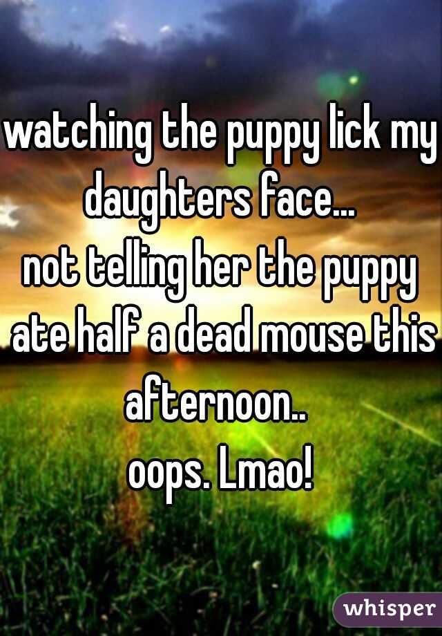 watching the puppy lick my daughters face... 

not telling her the puppy ate half a dead mouse this afternoon..  

oops. Lmao!