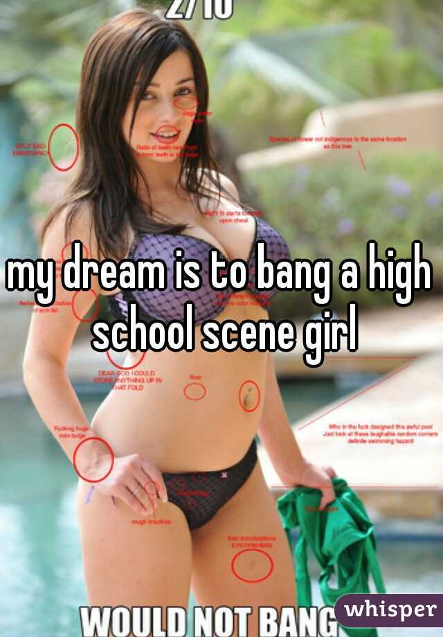 my dream is to bang a high school scene girl