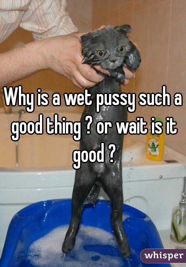 Why is a wet pussy such a good thing ? or wait is it good ?