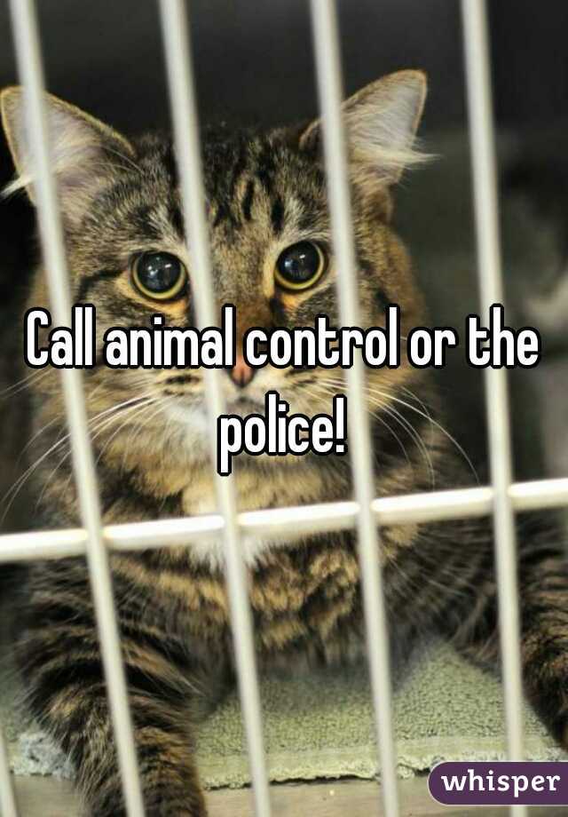 Call animal control or the police! 