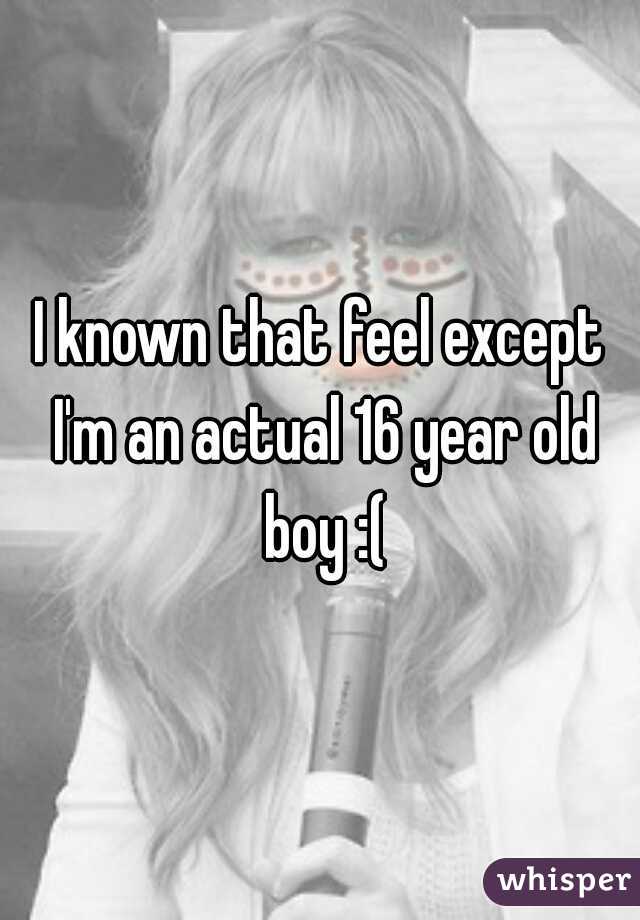 I known that feel except I'm an actual 16 year old boy :(
