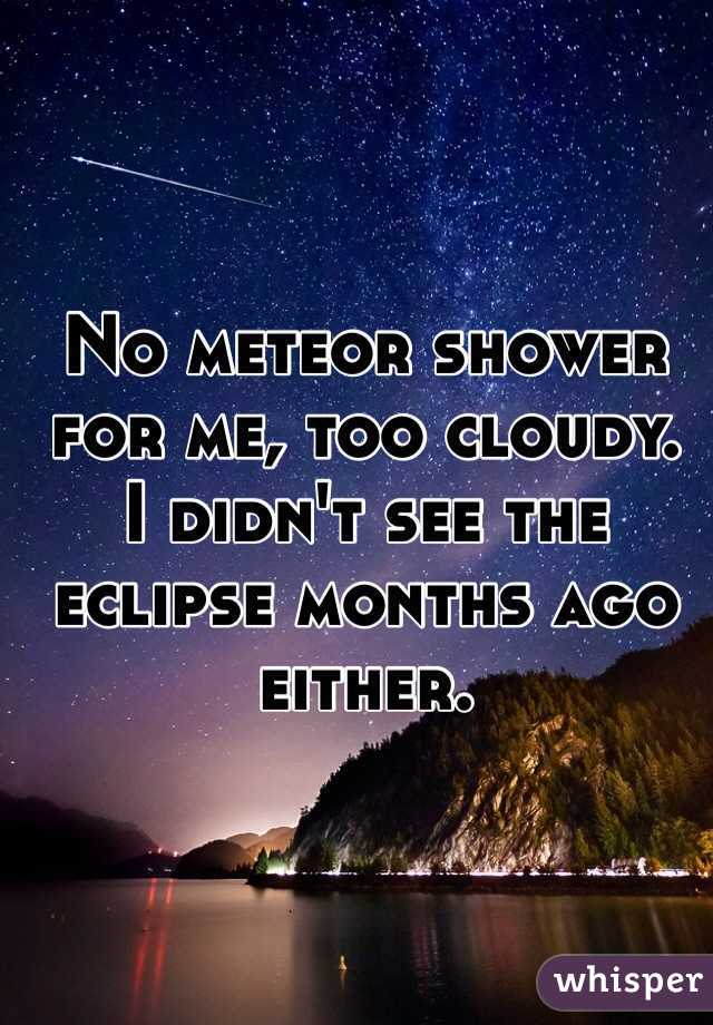 No meteor shower for me, too cloudy.  I didn't see the eclipse months ago either.