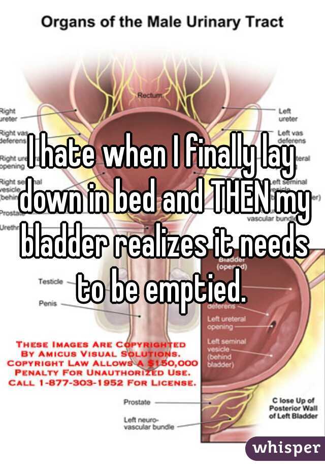 I hate when I finally lay down in bed and THEN my bladder realizes it needs to be emptied. 