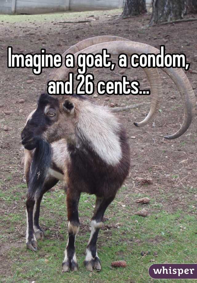 Imagine a goat, a condom, and 26 cents...