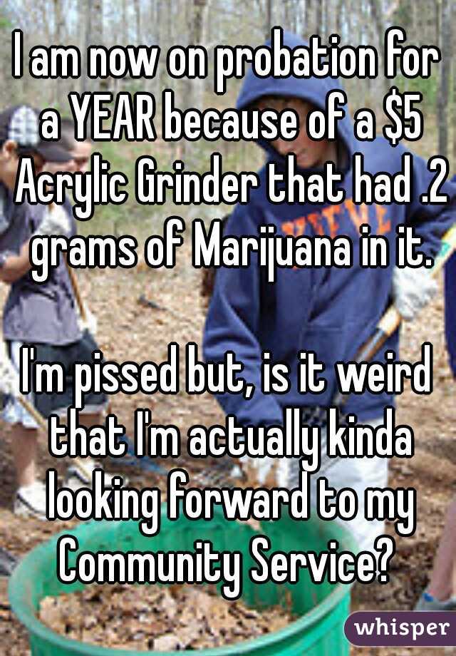 I am now on probation for a YEAR because of a $5 Acrylic Grinder that had .2 grams of Marijuana in it.
  
I'm pissed but, is it weird that I'm actually kinda looking forward to my Community Service? 