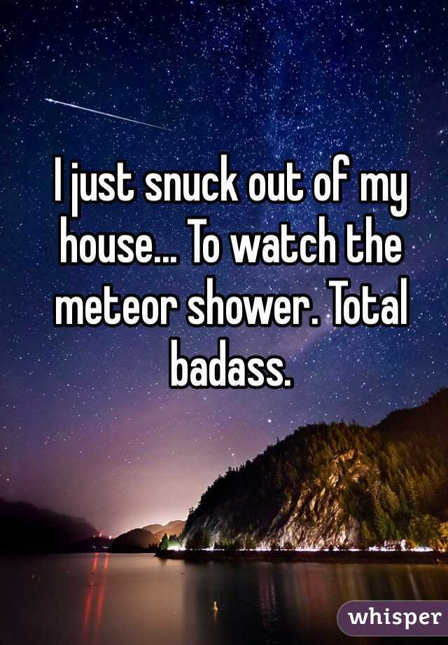 I just snuck out of my house... To watch the meteor shower. Total badass. 
