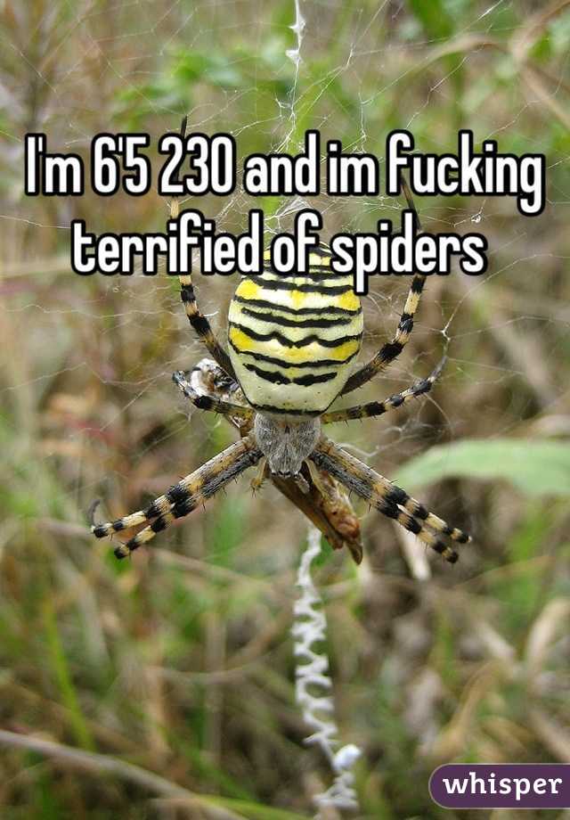 I'm 6'5 230 and im fucking terrified of spiders 