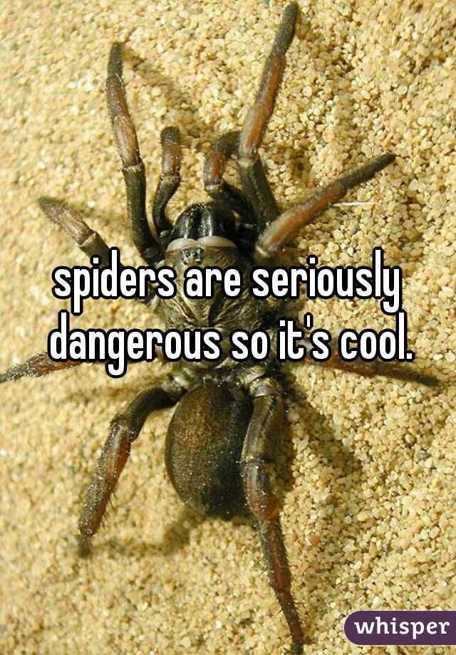 spiders are seriously dangerous so it's cool.