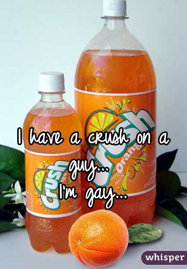 I have a crush on a guy...  
I'm gay...