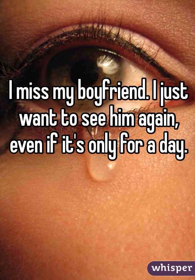 I miss my boyfriend. I just want to see him again, even if it's only for a day. 